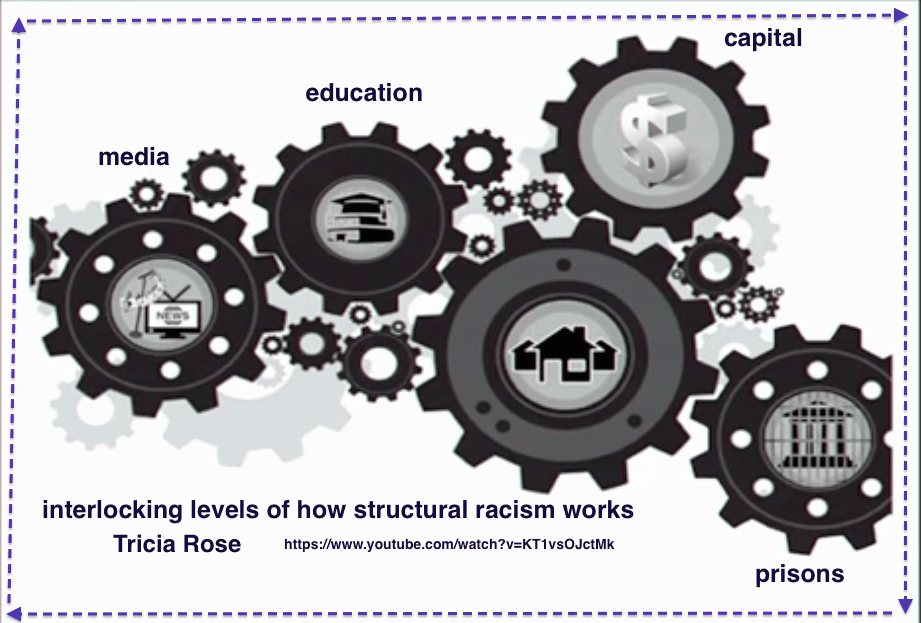 StructuralRacismTRoseGraphic.png